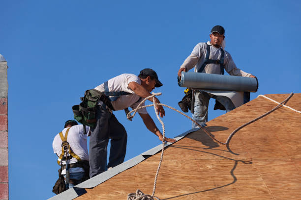 Best Metal Roofing Contractor  in Covington, GA